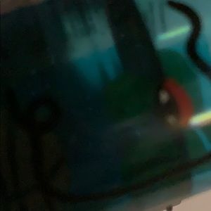 Meet your Posher, Bailey